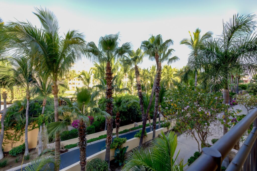 The gardens below, Residence 5-205, Hacienda Beach Club